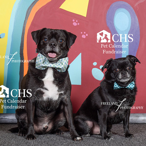 Fundraising Page: Meaghan McGill